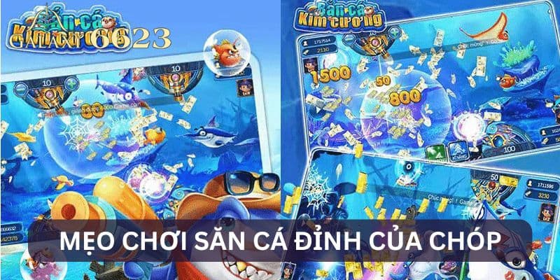 Mẹo chơi săn cá đỉnh của chóp