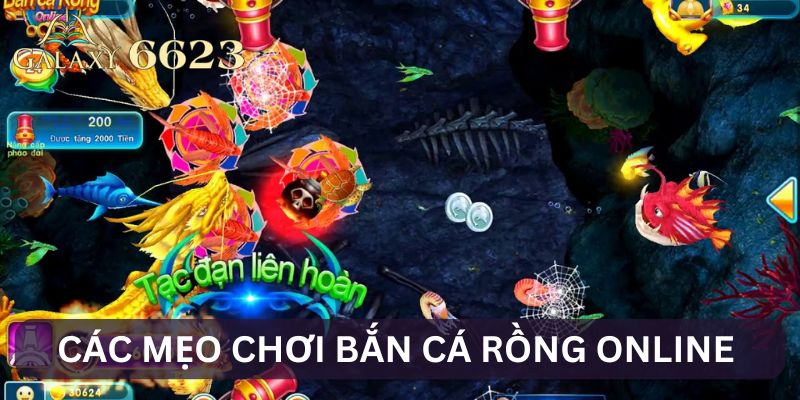 Các mẹo chơi bắn cá rồng