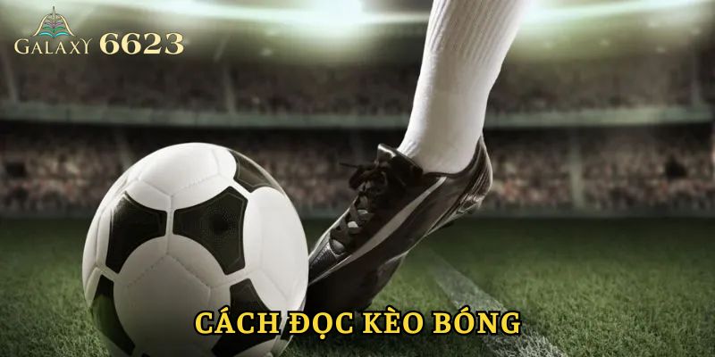 Cách Đọc Kèo Bóng Đá Cực Chuẩn 100% Dành Cho Hội Viên