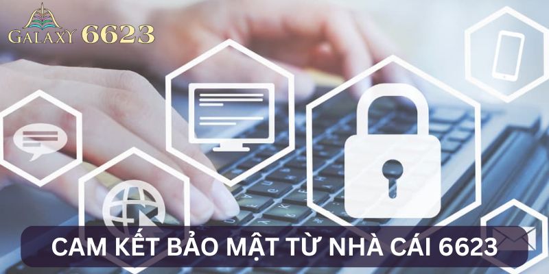 Cam kết bảo mật tại 6623