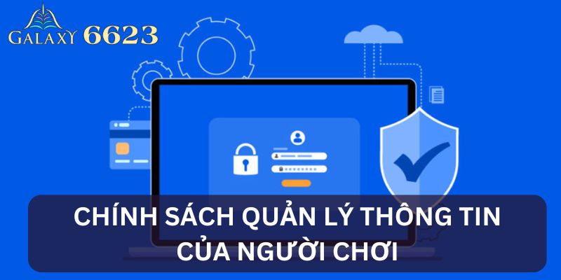 Chính sách quản lý thông tin