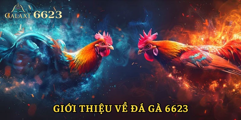 Giới thiệu đá gà 6623