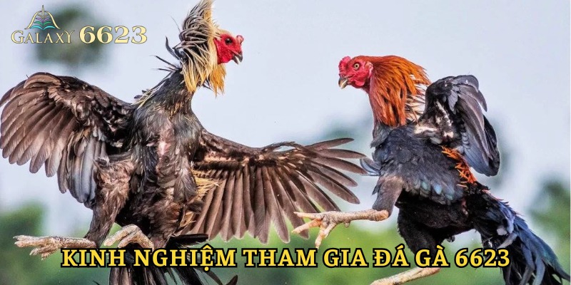 Kinh nghiệm chơi thắng lớn