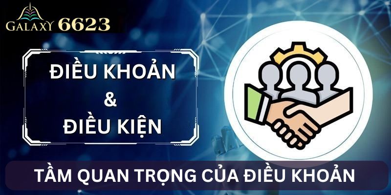 Vai trò của điều kiện điều khoản tại 6623