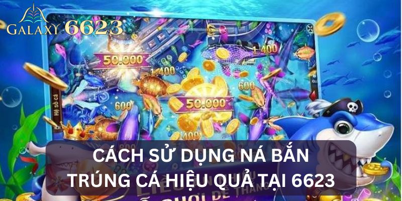 Cách sử dụng ná để săn cá