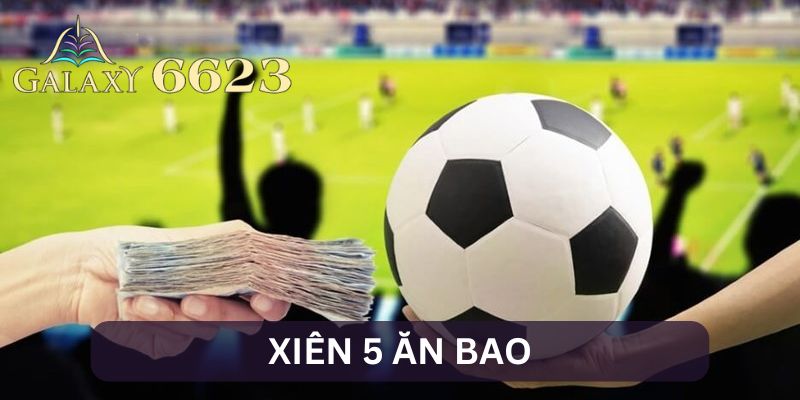 Xiên 5 Ăn Bao - Bí Kíp Chinh Phục Loại Cược Đầy Hấp Dẫn